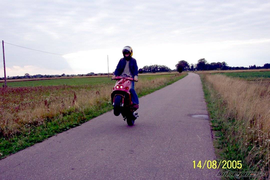 1997 MALAGUTI PHANTOM 50 F12 | Picture 409807 motorcycle photo