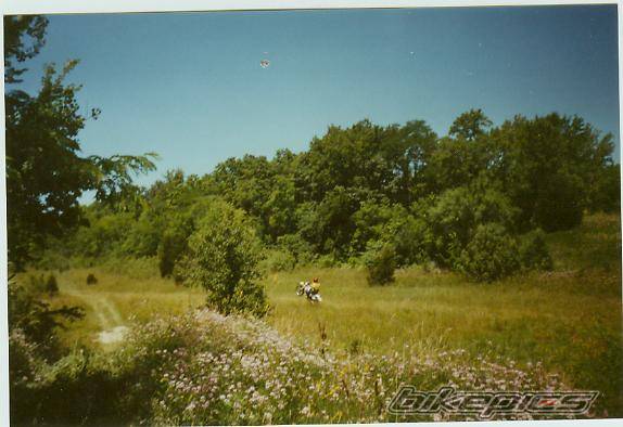 1999 SUZUKI DR 200 | Picture 40981 motorcycle photo