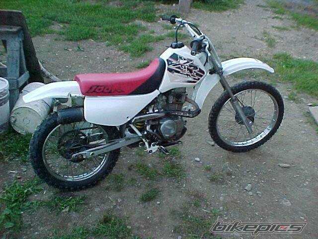 1999 HONDA XR 100 | Picture 409927 motorcycle photo