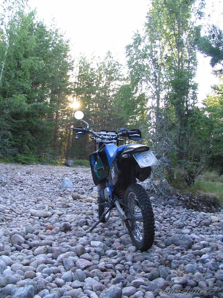 1995 YAMAHA DT 125 | Picture 410324 motorcycle photo