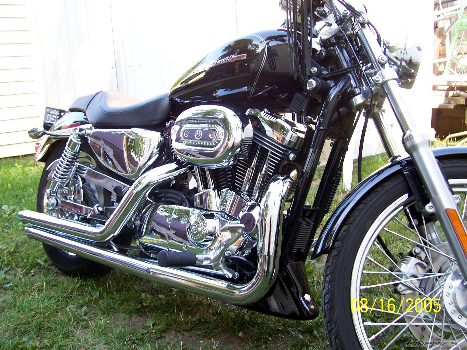 2005 HARLEY DAVIDSON XL 1200 C | Picture 410412 motorcycle photo