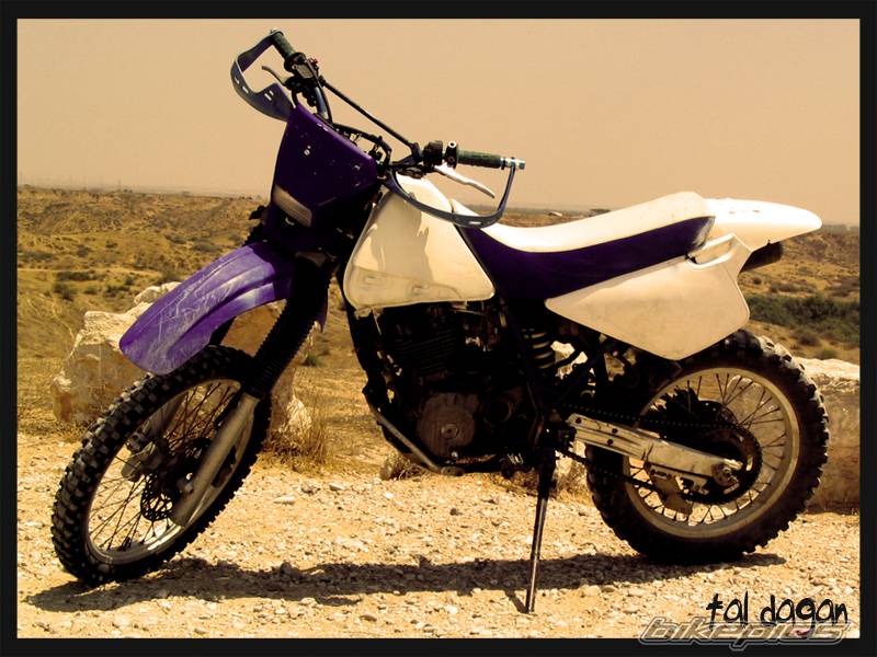 1991 SUZUKI DR 350 | Picture 410553 motorcycle photo