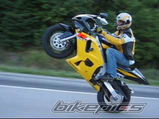 2002 SUZUKI GSX R 600 | Picture 410747 motorcycle photo