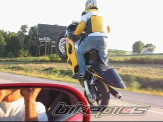 2002 SUZUKI GSX R 600 | Picture 410752 motorcycle photo