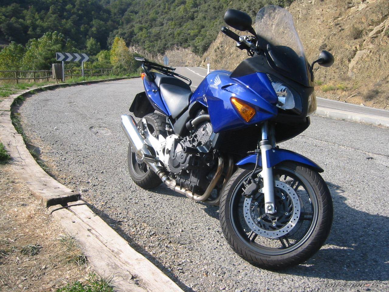2004 HONDA CBF 600 | Picture 410945 motorcycle photo