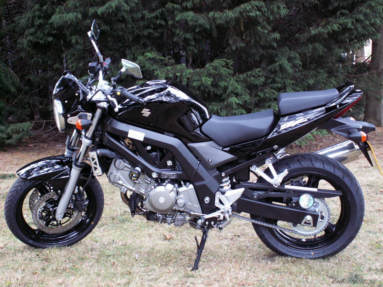 2005 SUZUKI SV 650 | Picture 411148 motorcycle photo