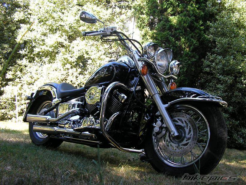 2000 YAMAHA XVS 650 V STAR | Picture 411230 motorcycle photo