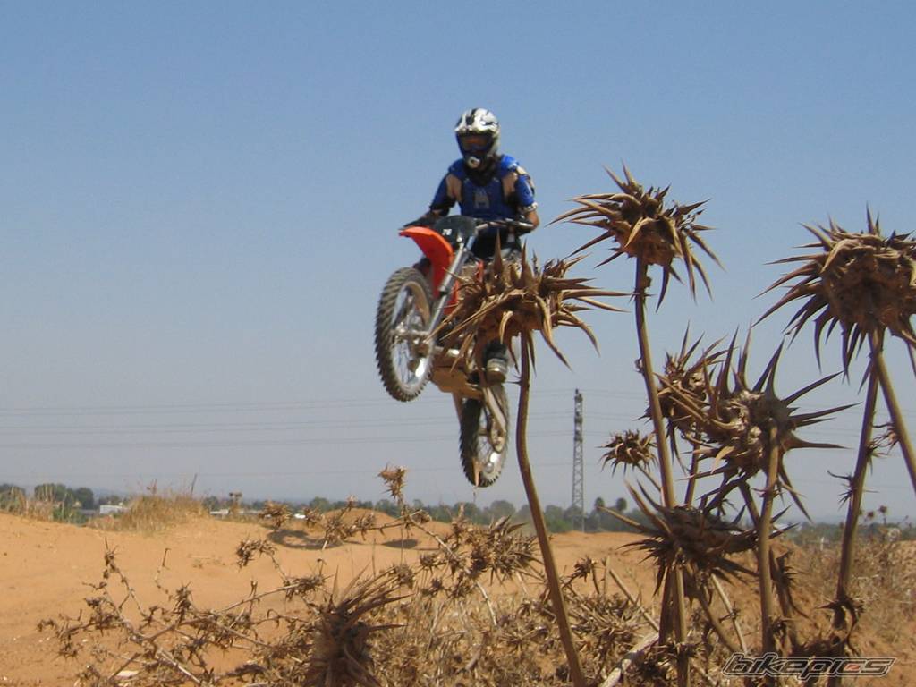 1999 KTM 250 EXC | Picture 411283 motorcycle photo
