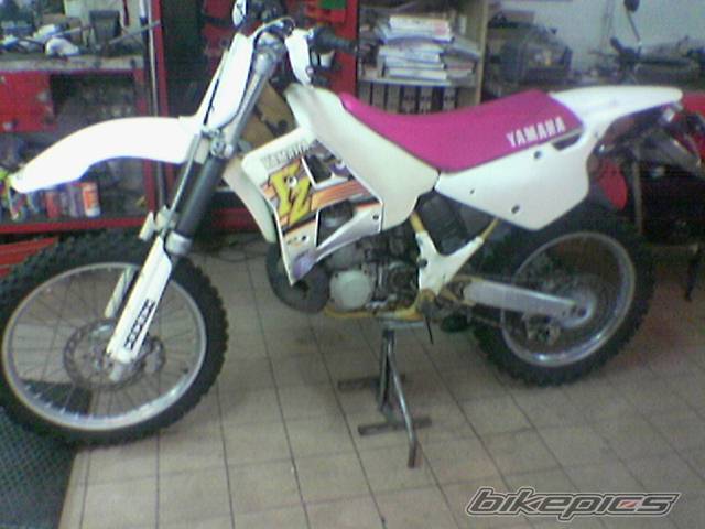 1995 YAMAHA YZ 250 | Picture 411368 motorcycle photo