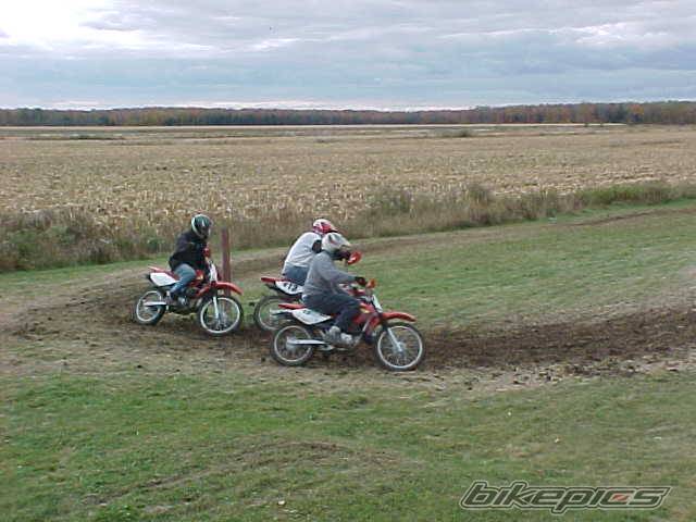2002 HONDA XR 100 | Picture 41156 motorcycle photo
