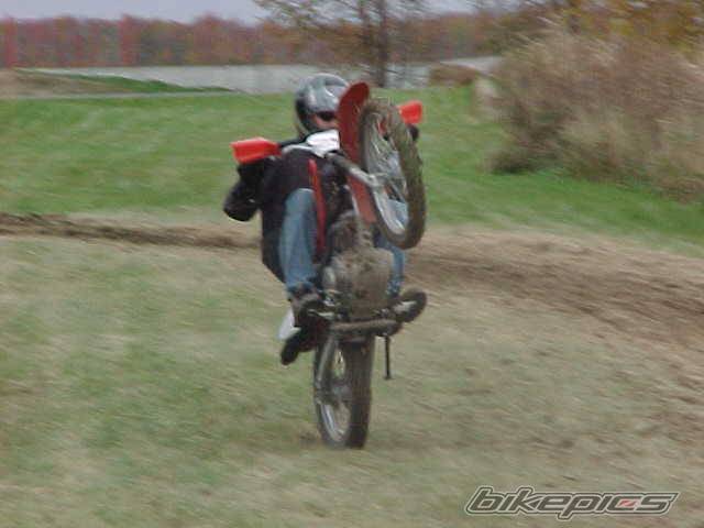 2002 HONDA XR 100 | Picture 41165 motorcycle photo