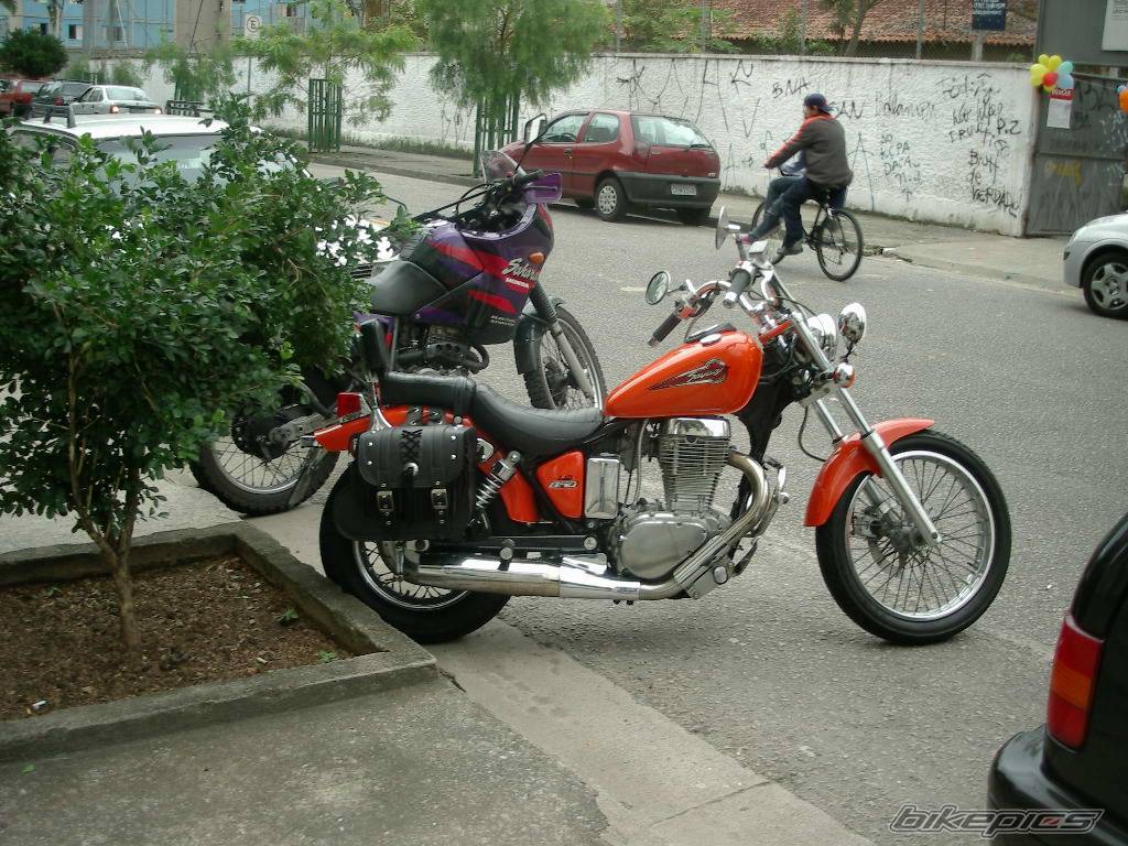 1998 SUZUKI SAVAGE | Picture 411715 motorcycle photo