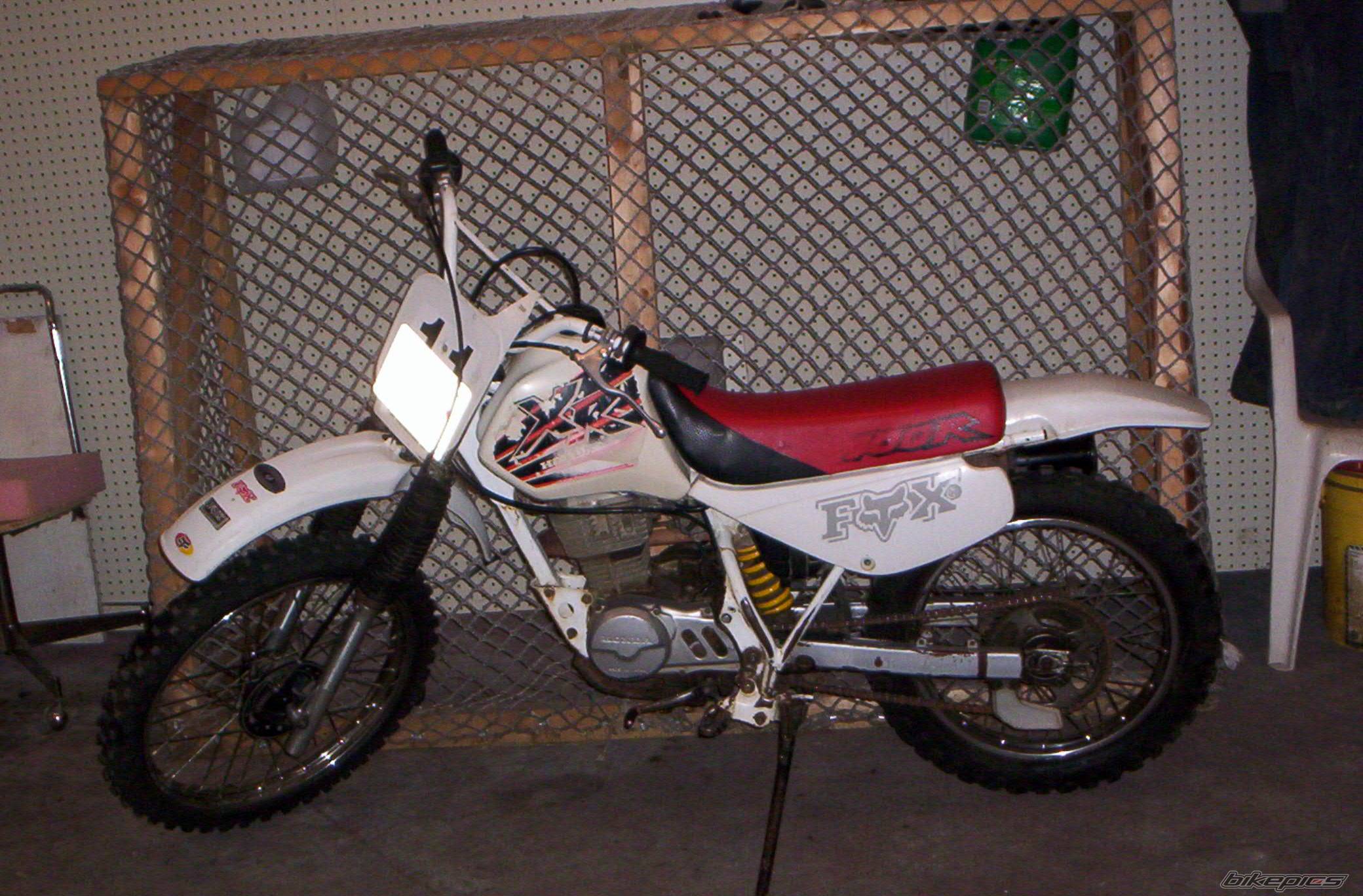 1999 HONDA XR 100 | Picture 411724 motorcycle photo