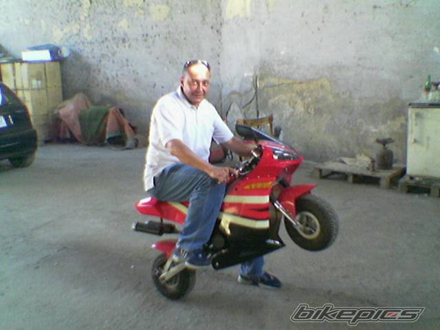 1999 HONDA CBR 900 | Picture 411761 motorcycle photo