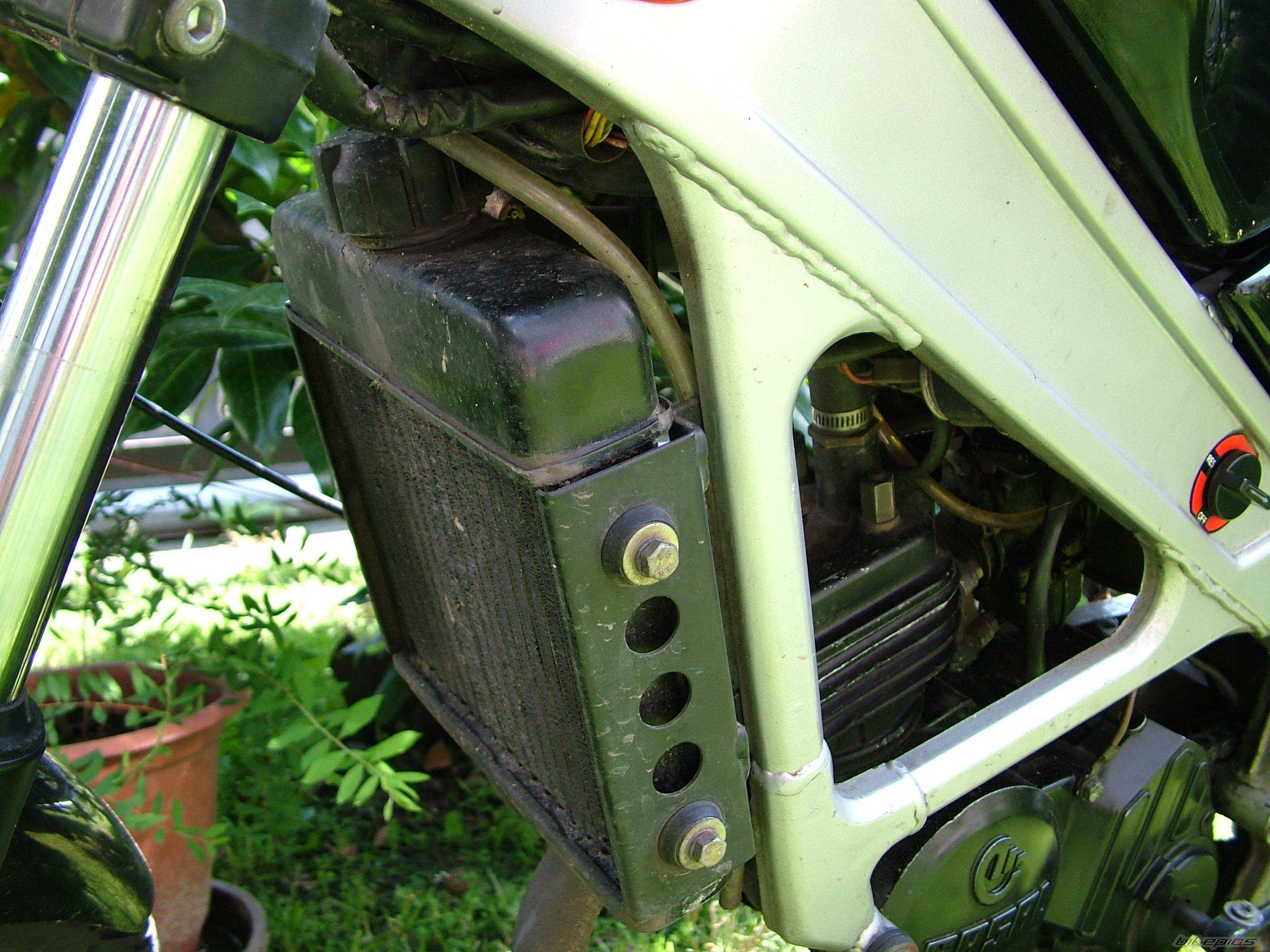 1995 CASAL MAGNUM | Picture 412093 motorcycle photo