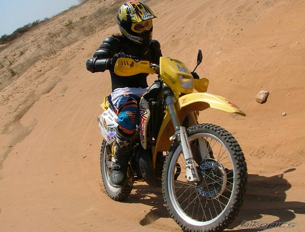 1999 SUZUKI RMX 50 | Picture 412111 motorcycle photo
