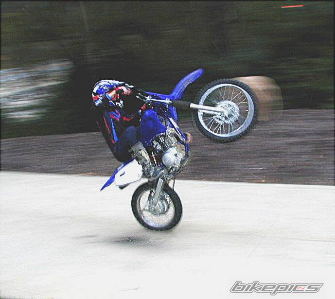 2001 YAMAHA TTR 125 | Picture 41217 motorcycle photo