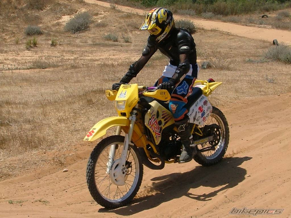1999 SUZUKI RMX 50 | Picture 412275 motorcycle photo