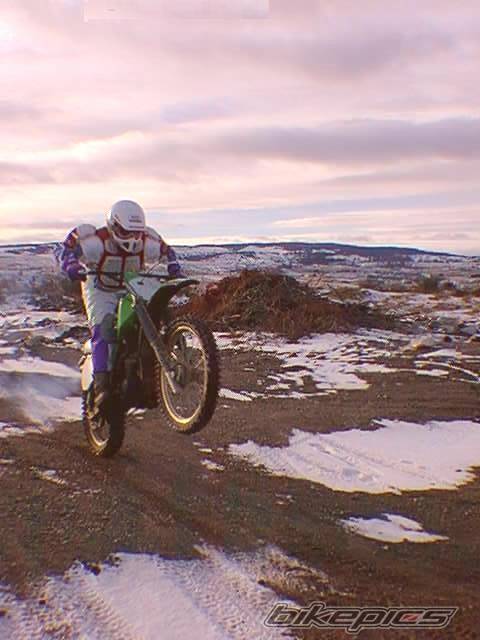 1982 KAWASAKI KX 125 | Picture 41231 motorcycle photo
