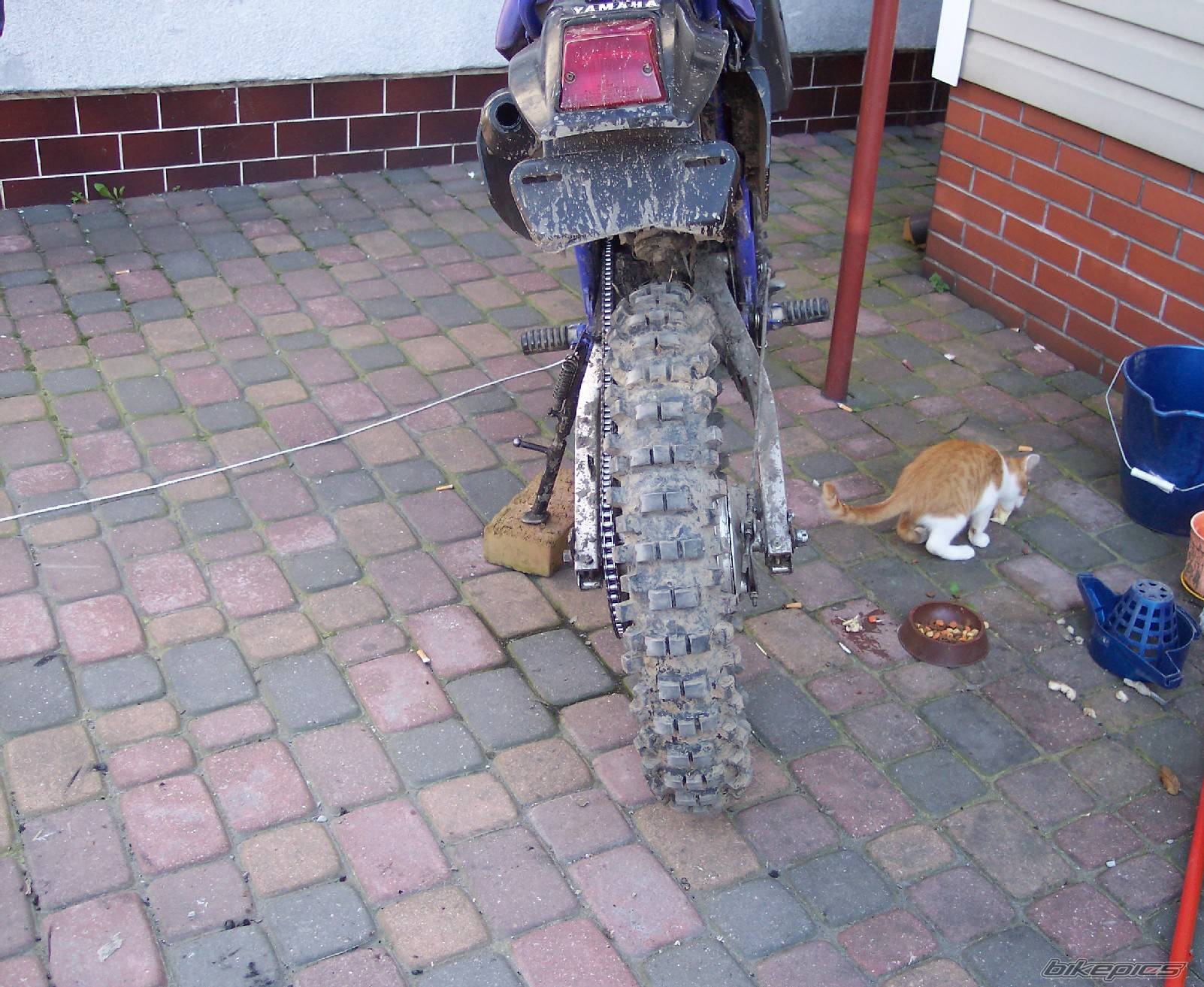 1993 YAMAHA DT 80 | Picture 412450 motorcycle photo