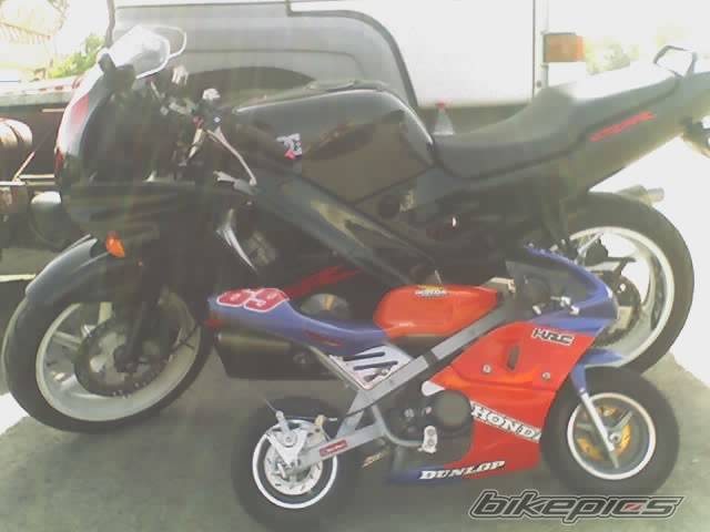 2005 POLINI 911 | Picture 412723 motorcycle photo