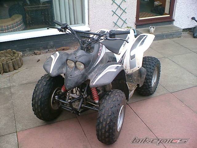 2004 RAM 100 MINI UTILITY | Picture 413022 motorcycle photo