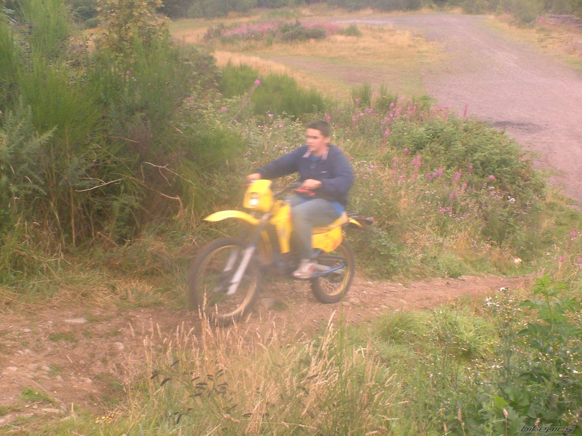 1993 SUZUKI TS 50 | Picture 413025 motorcycle photo