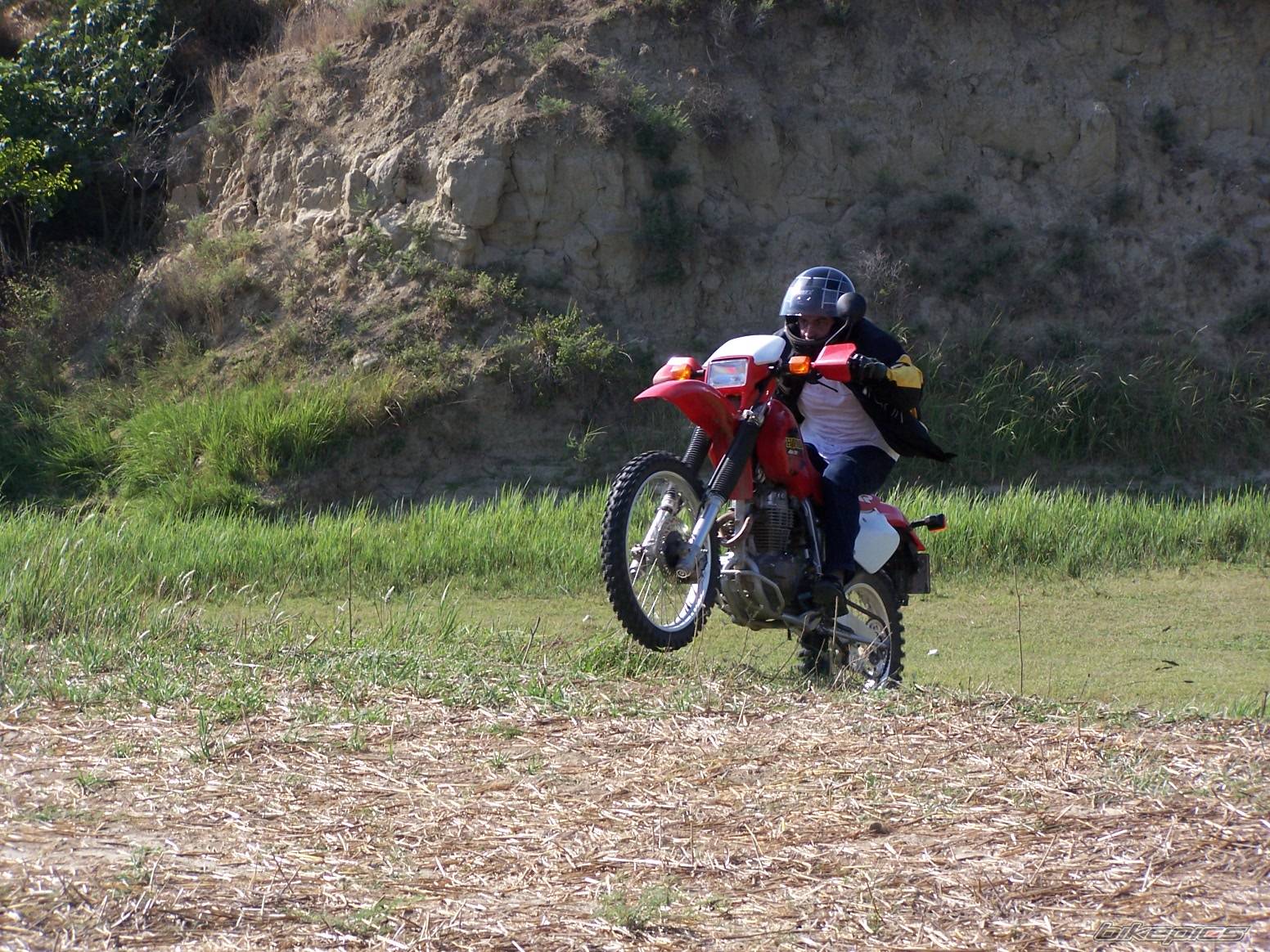 1994 HONDA NX 650 DOMINATOR | Picture 413030 motorcycle photo