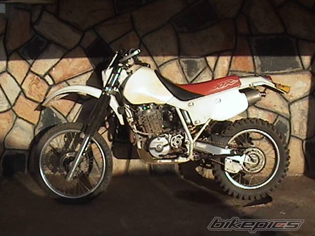 1997 HONDA XR 600 | Picture 413623 motorcycle photo