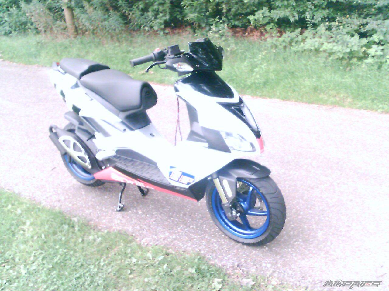 2005 APRILIA RSV MILLE FACTORY | Picture 413669 motorcycle photo