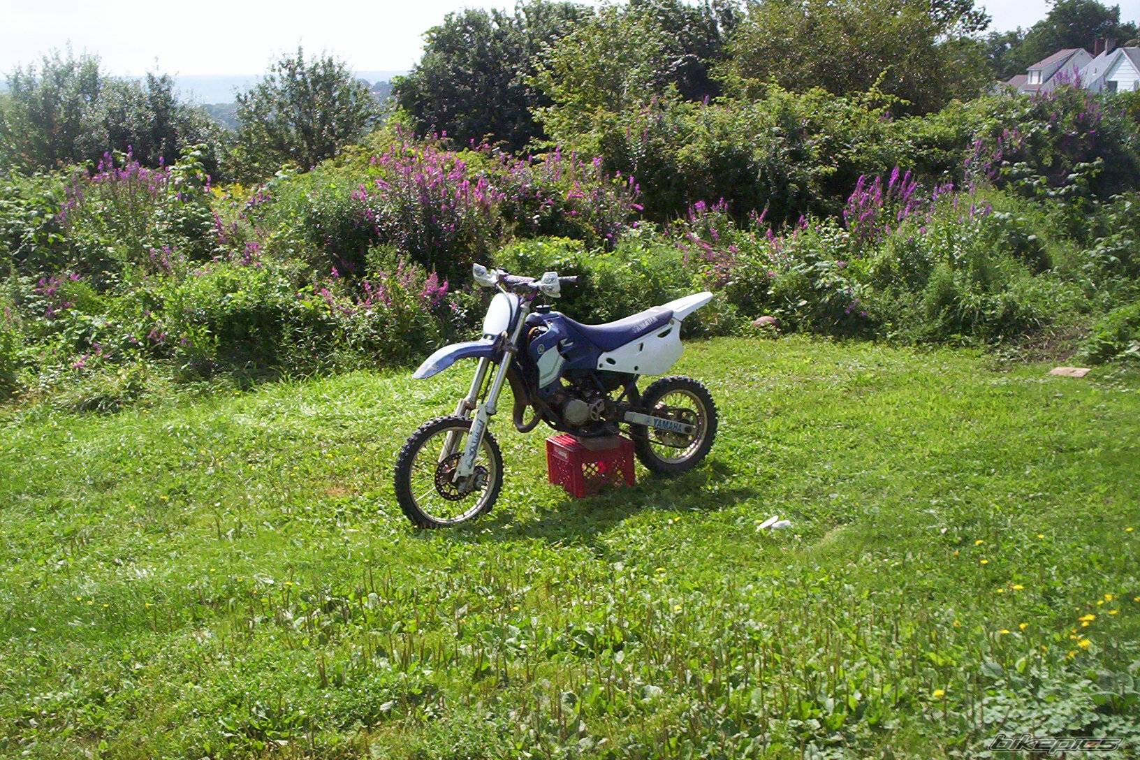 1996 YAMAHA YZ 80 | Picture 413672 motorcycle photo