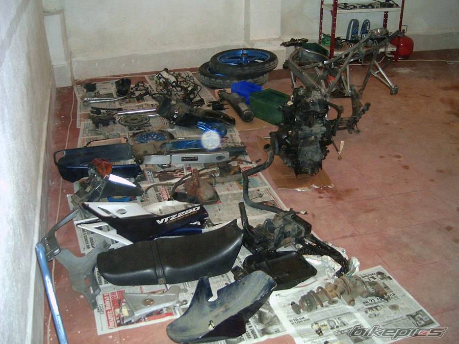 1988 HONDA VTZ 250 | Picture 413704 motorcycle photo