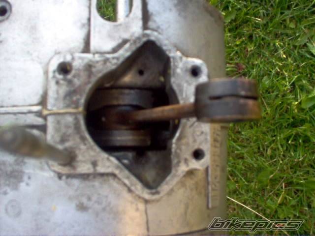 1980 ROMET 50 T 1 | Picture 413725 motorcycle photo