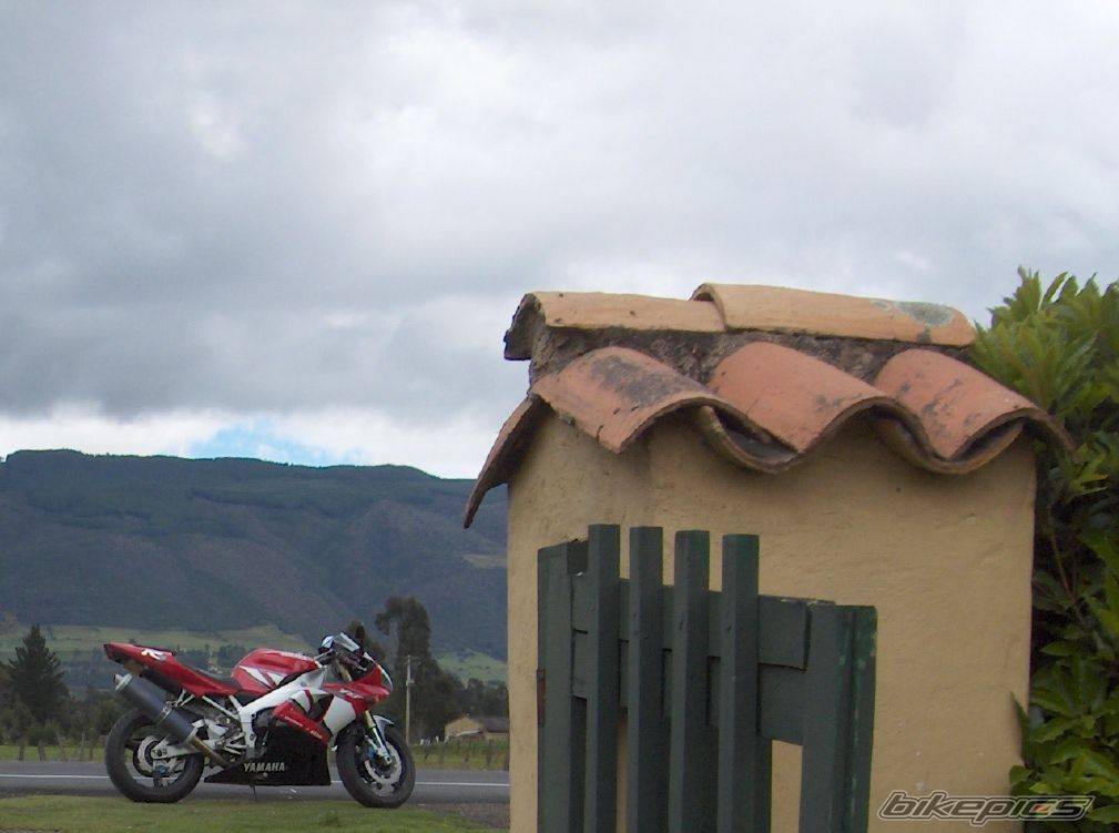 2002 YAMAHA YZF R1 | Picture 413923 motorcycle photo