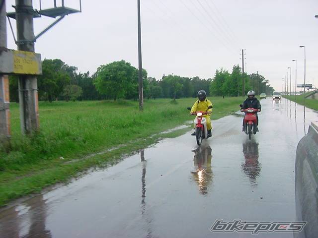 2005 YAMAHA YBR 125 | Picture 413983 motorcycle photo