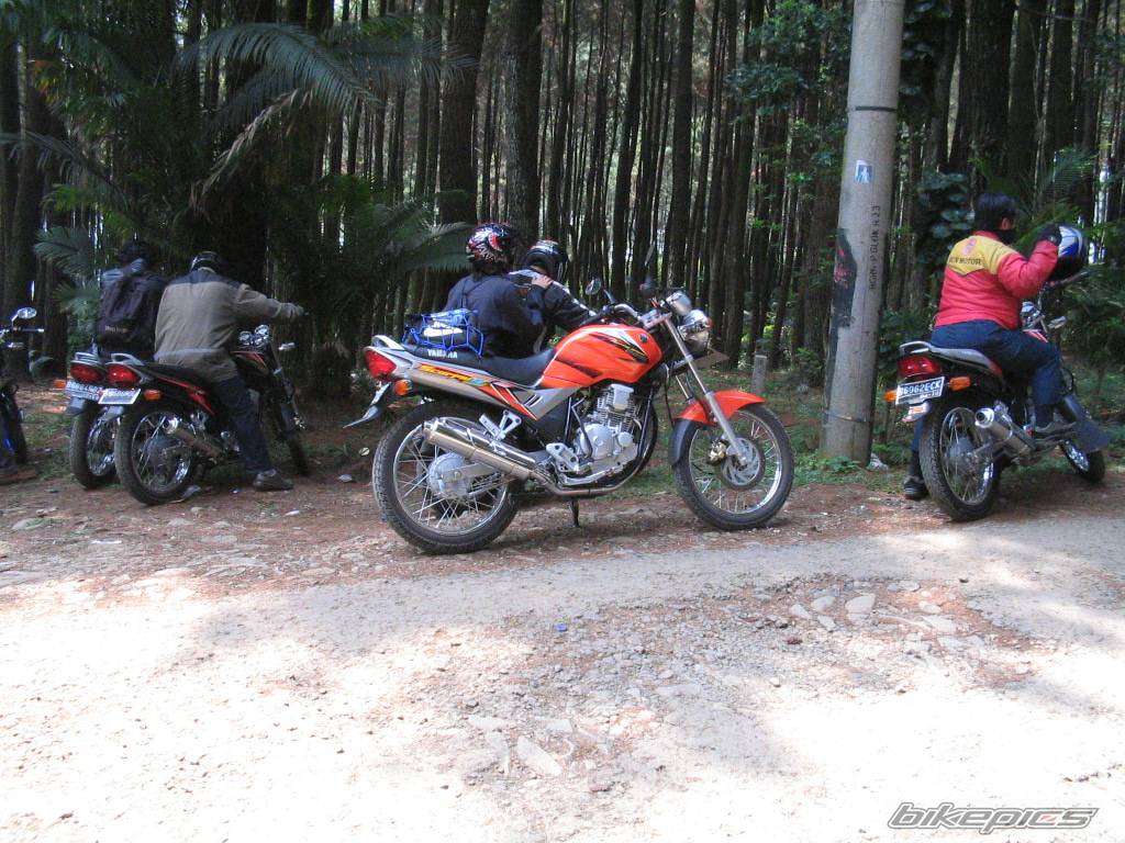 2005 YAMAHA SCORPIO 225 | Picture 414066 motorcycle photo