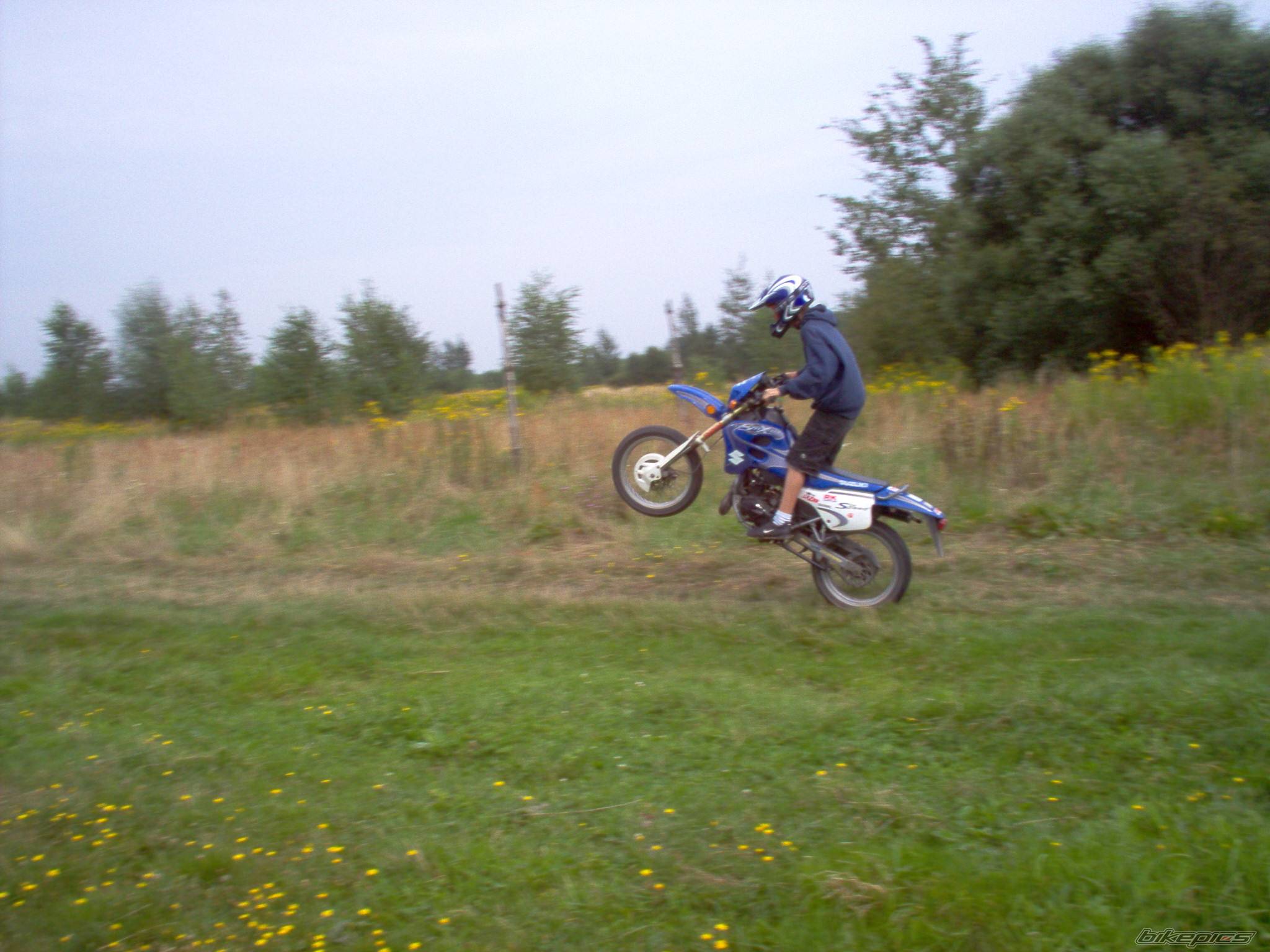 2003 SUZUKI SMX 50 | Picture 414143 motorcycle photo