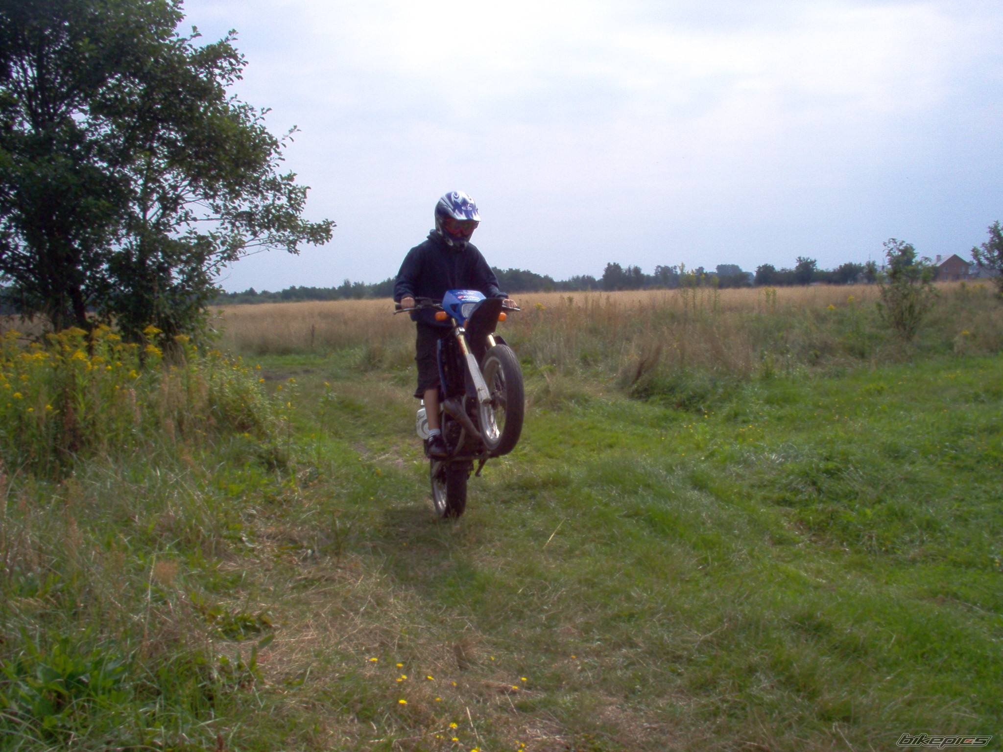 2003 SUZUKI SMX 50 | Picture 414146 motorcycle photo