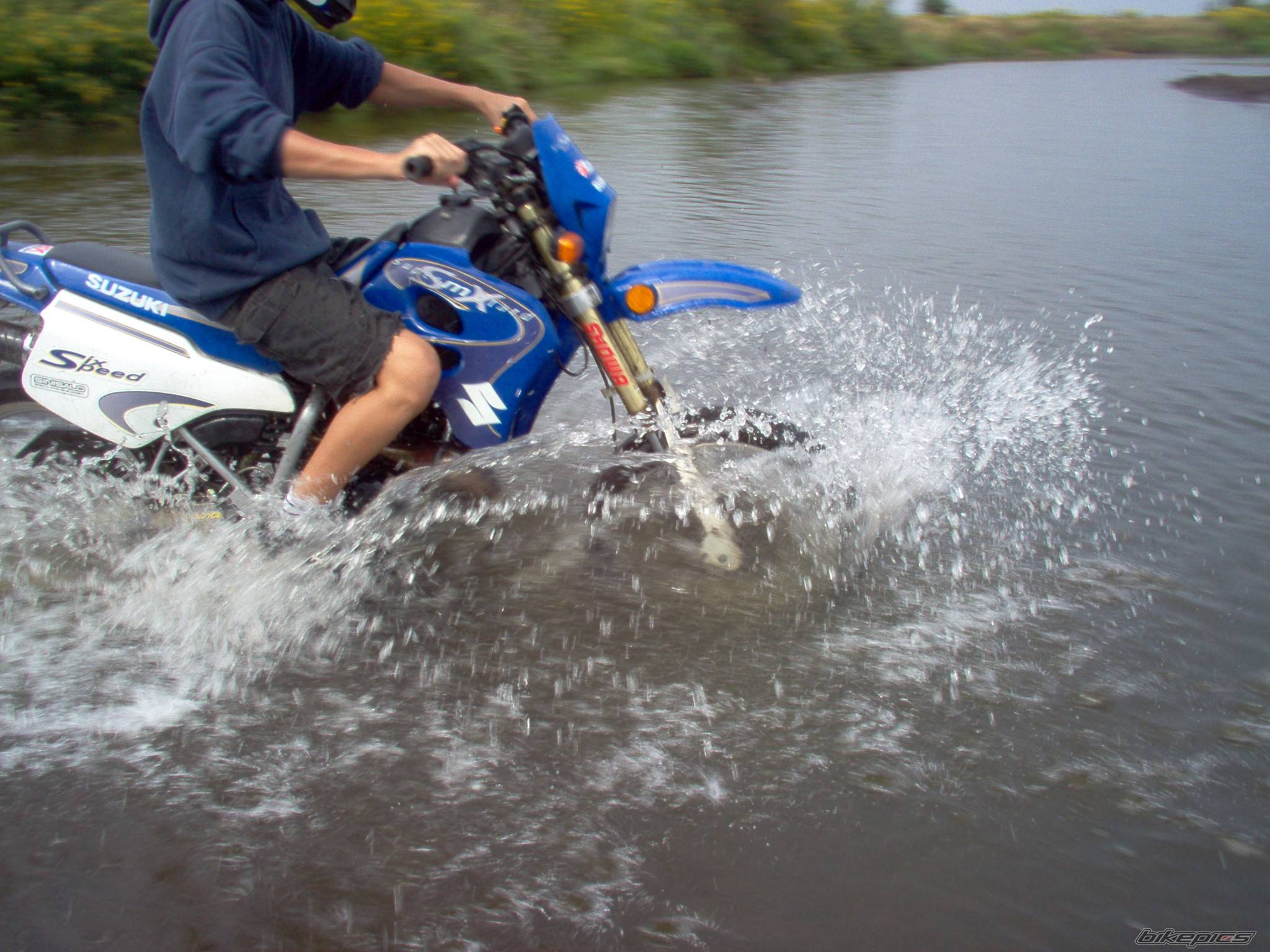 2003 SUZUKI SMX 50 | Picture 414391 motorcycle photo