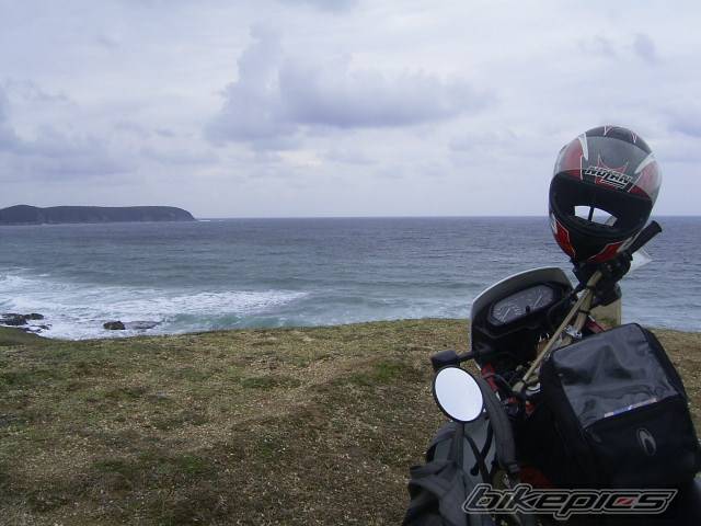2000 HONDA NX 650 DOMINATOR | Picture 414549 motorcycle photo