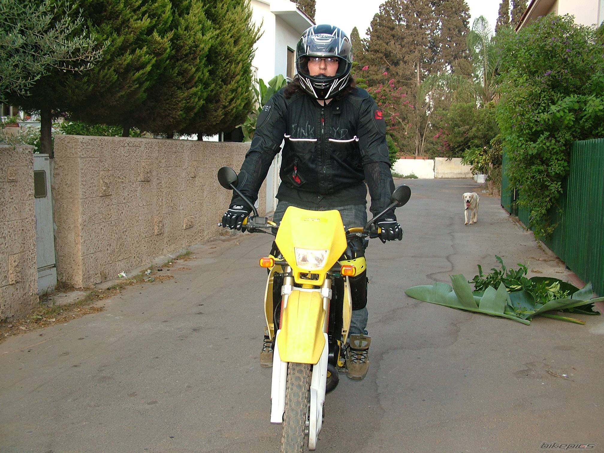 1999 SUZUKI RMX 50 | Picture 414574 motorcycle photo