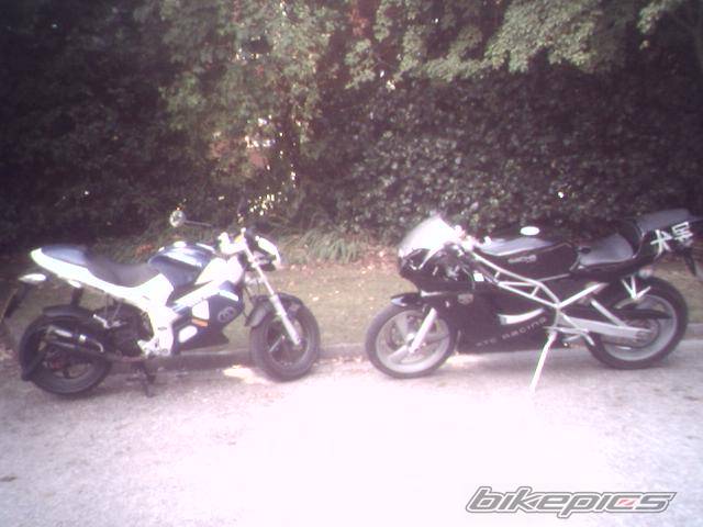 2003 SACHS XTC RACING | Picture 414670 motorcycle photo