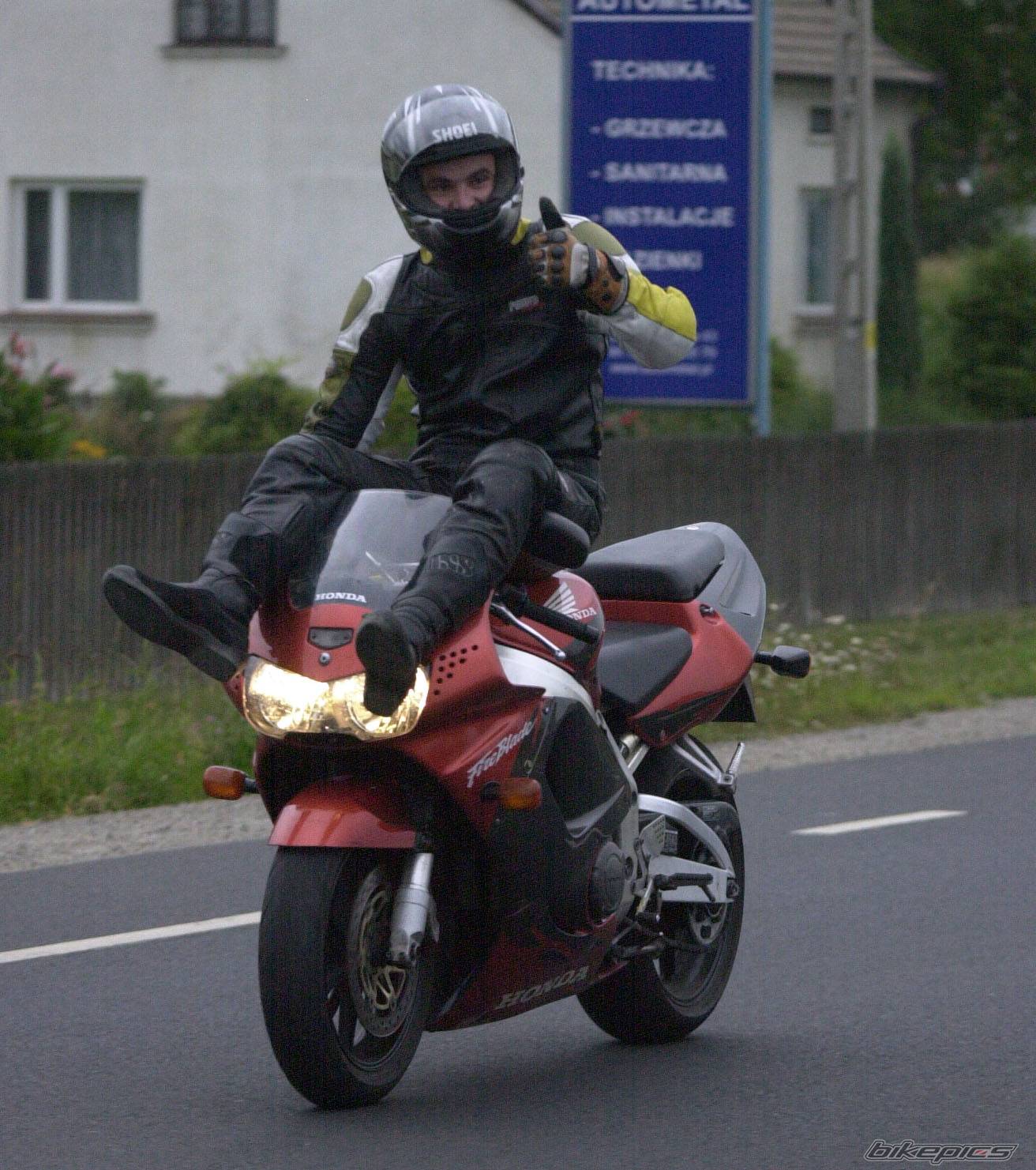 1998 HONDA CBR 900 | Picture 414768 motorcycle photo