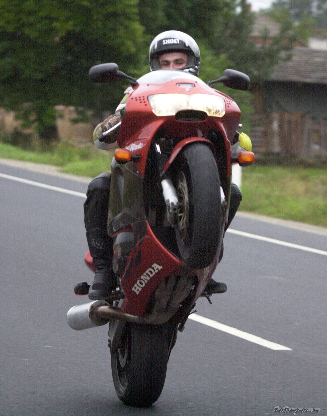 1998 HONDA CBR 900 | Picture 414784 motorcycle photo
