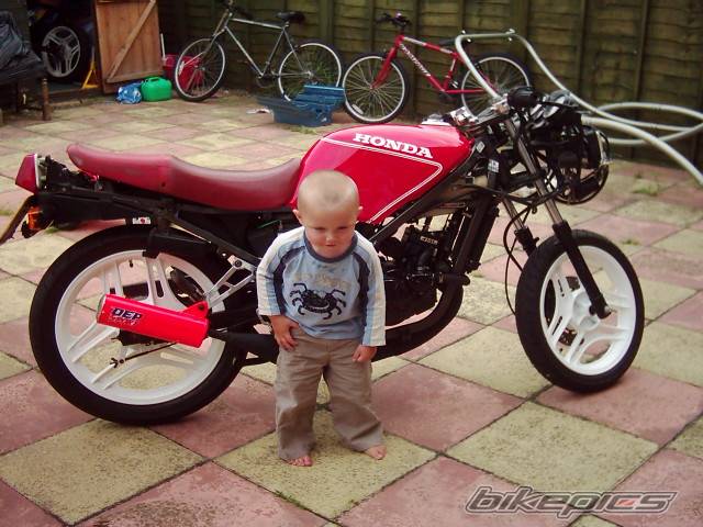 1991 HONDA NS 125 | Picture 415091 motorcycle photo