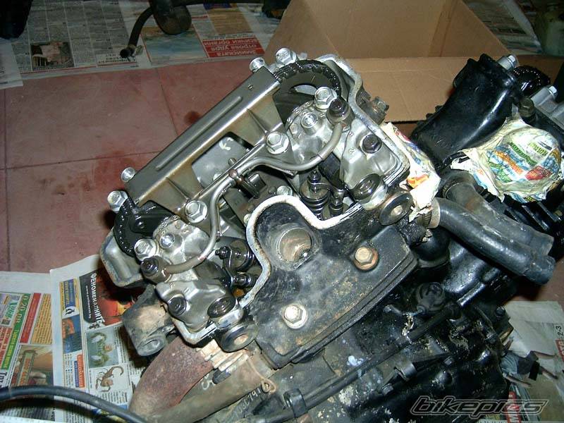1988 HONDA VTZ 250 | Picture 415186 motorcycle photo