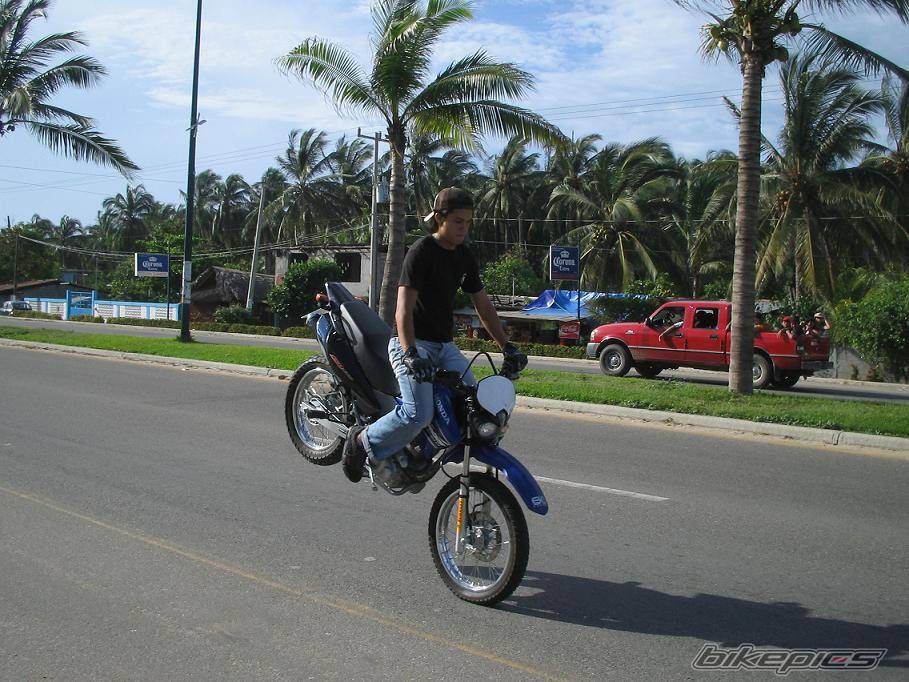 2005 HONDA NXR 125 | Picture 415339 motorcycle photo