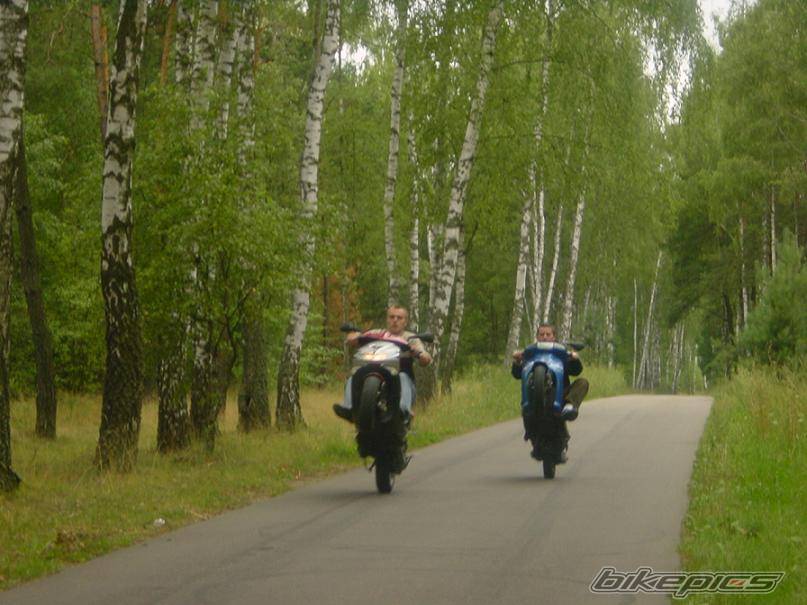 1997 PEUGEOT SPEEDFIGHT | Picture 415435 motorcycle photo