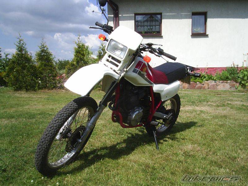 1984 HONDA XL 600 | Picture 415750 motorcycle photo