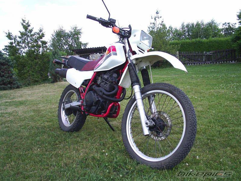1984 HONDA XL 600 | Picture 415753 motorcycle photo